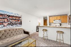 119 East Cooper Avenue Unit 24, Aspen, CO 81611