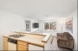 119 East Cooper Avenue Unit 24, Aspen, CO 81611