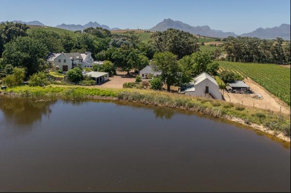 26 Hectare Wine Farm, Stellenbosch Farms, Stellenbosch, Western Cape, 7600