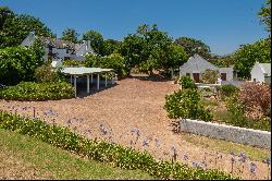 26 Hectare Wine Farm, Stellenbosch Farms, Stellenbosch, Western Cape, 7600