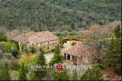 Chianti - ESTATE WITH RENOVATED FARMHOUSES FOR SALE IN CASTELLINA, TUSCANY