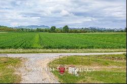 BOUTIQUE WINERY FOR SALE IN MONTEPULCIANO, TUSCANY