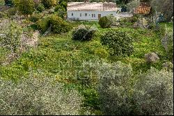 Close To Cannes - Vallauris - Villa and building plot