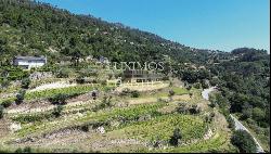 Farm for sale, next to the River Douro, in Marco de Canaveses, Portugal