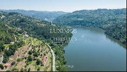 Farm for sale, next to the River Douro, in Marco de Canaveses, Portugal