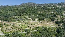 Farm for sale, next to the River Douro, in Marco de Canaveses, Portugal