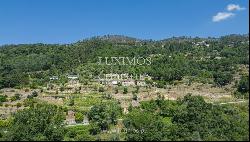 Farm for sale, next to the River Douro, in Marco de Canaveses, Portugal