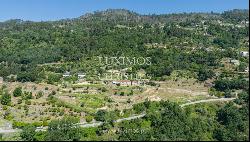 Farm for sale, next to the River Douro, in Marco de Canaveses, Portugal