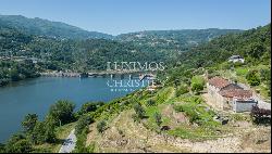 Farm for sale, next to the River Douro, in Marco de Canaveses, Portugal