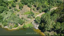 Farm for sale, next to the River Douro, in Marco de Canaveses, Portugal