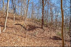 3.7 Acre Reflections Point Trl #91 & 92, Fancy Gap VA 24328