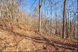 3.7 Acre Reflections Point Trl #91 & 92, Fancy Gap VA 24328