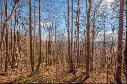 3.7 Acre Reflections Point Trl #91 & 92, Fancy Gap VA 24328