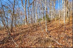 3.7 Acre Reflections Point Trl #91 & 92, Fancy Gap VA 24328