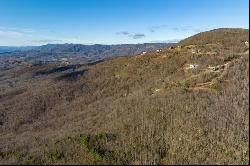 3.7 Acre Reflections Point Trl #91 & 92, Fancy Gap VA 24328