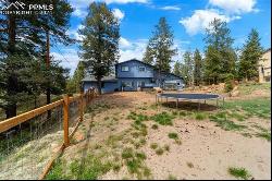 115 High View Circle, Woodland Park CO 80863