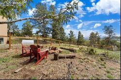 115 High View Circle, Woodland Park CO 80863