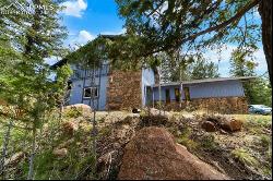 115 High View Circle, Woodland Park CO 80863