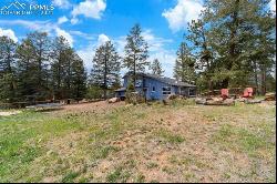 115 High View Circle, Woodland Park CO 80863