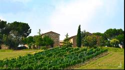 Il Cortile in Val d'Orcia, Farmhouse with a view of Pienza - Tuscany