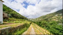 Vineyard for sale in Douro Wine Demarcated Region, Douro Valley, Portugal