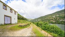 Vineyard for sale in Douro Wine Demarcated Region, Douro Valley, Portugal