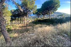 Land of more than 2000m with sea views in Ses Falugues-Aiguablava