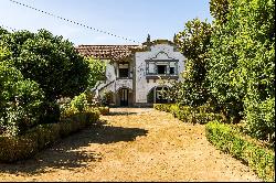 Farm, 7 bedrooms, for Sale