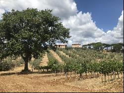 Luxury Tuscan Estate With Vineyards, Massa Maritima, Tuscany