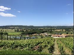 Luxury Tuscan Estate With Vineyards, Massa Maritima, Tuscany