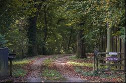 Gods Blessing Lane, Holt, Wimborne, Dorset, BH21 7DE