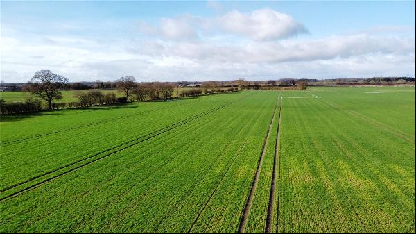 Land Off Mask Lane, Newton on Derwent, YorkíII, YO41 4DH