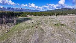 342 Acres Bear Springs Ranch, Marion MT 59925