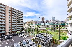 PARK COURT MINAMIAZABU