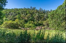 12380 Eureka Street, Sutter Creek, CA 95685