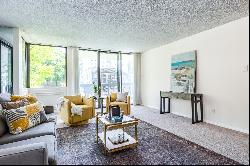 Light-Filled Downtown Condo