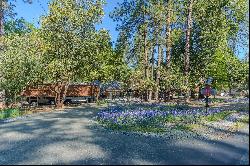 12019 Gold Strike Road, Pine Grove, CA 95665