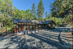 12019 Gold Strike Road, Pine Grove, CA 95665