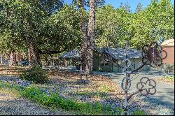 12019 Gold Strike Road, Pine Grove, CA 95665