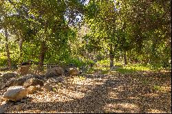 2992 Matilija Canyon Road Road, Ojai, CA, 93023