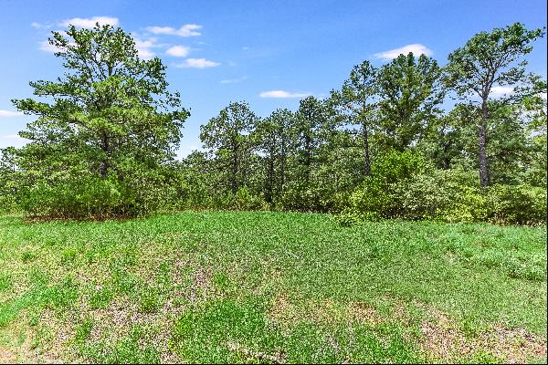 Discover Your Own Secluded Pine Forest! 