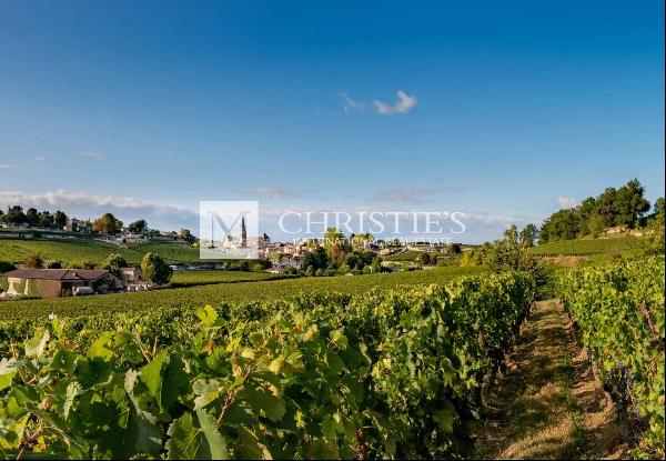 Parcels of Saint-Emilion Grand Cru turnkey Vineyard investment