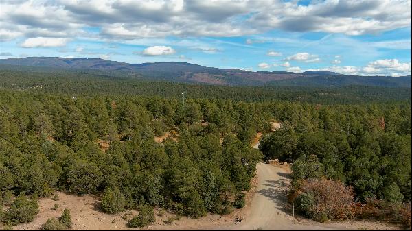 Lot 25 Birds of a Feather, Pecos NM 87552