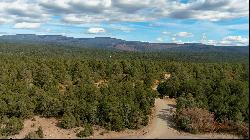 Lot 25 Birds of a Feather, Pecos NM 87552