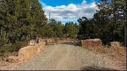 Lot 25 Lot 25, Pecos NM 87552