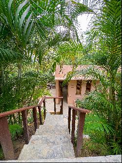 Arboletes de Ukúa, Palomino, Baja Guajira- Colombia