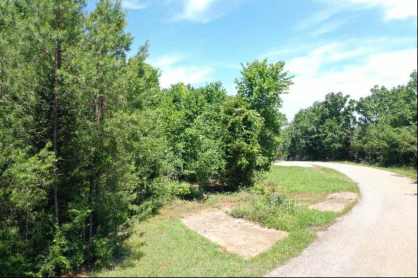 .994 Wooded Acres in East Texas