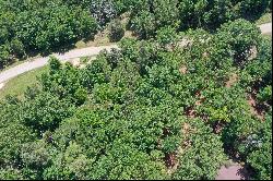 1.994 Wooded Acres in East Texas