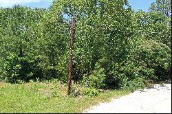 1.994 Wooded Acres in East Texas