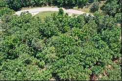 1.994 Wooded Acres in East Texas